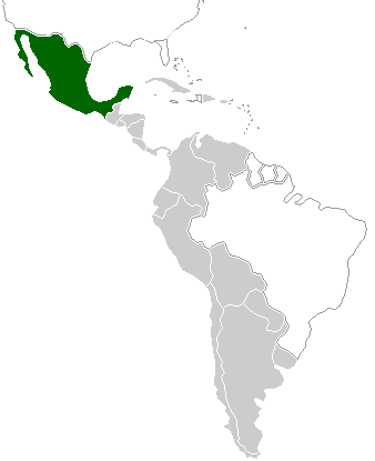 Spanisch lernen in Lateinamerika